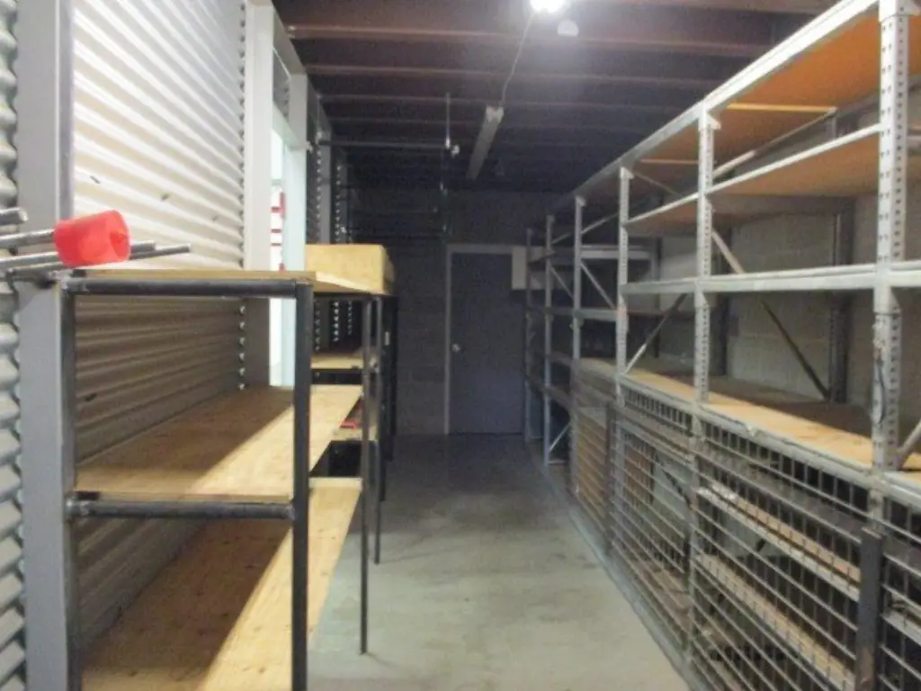 Picture 19