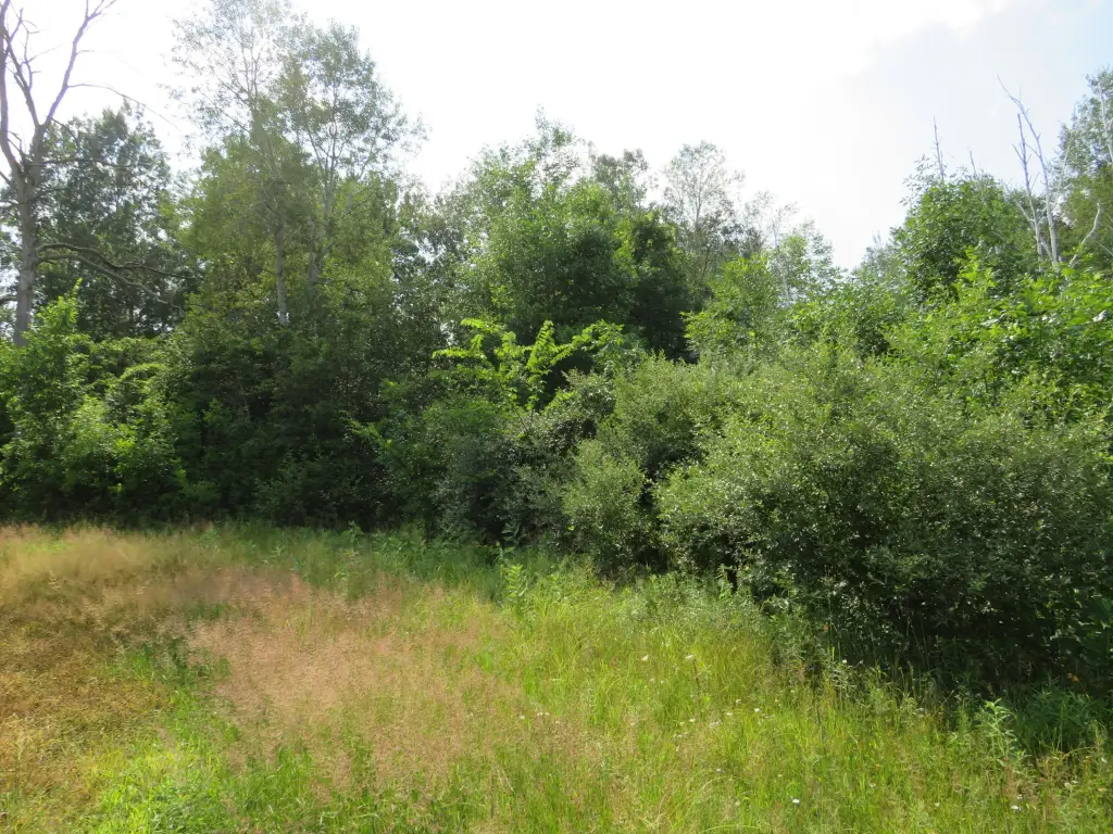 Picture 36
