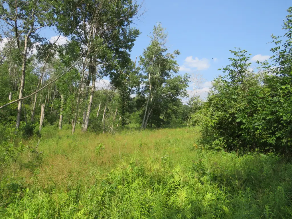 Picture 37