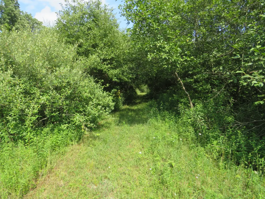 Picture 24