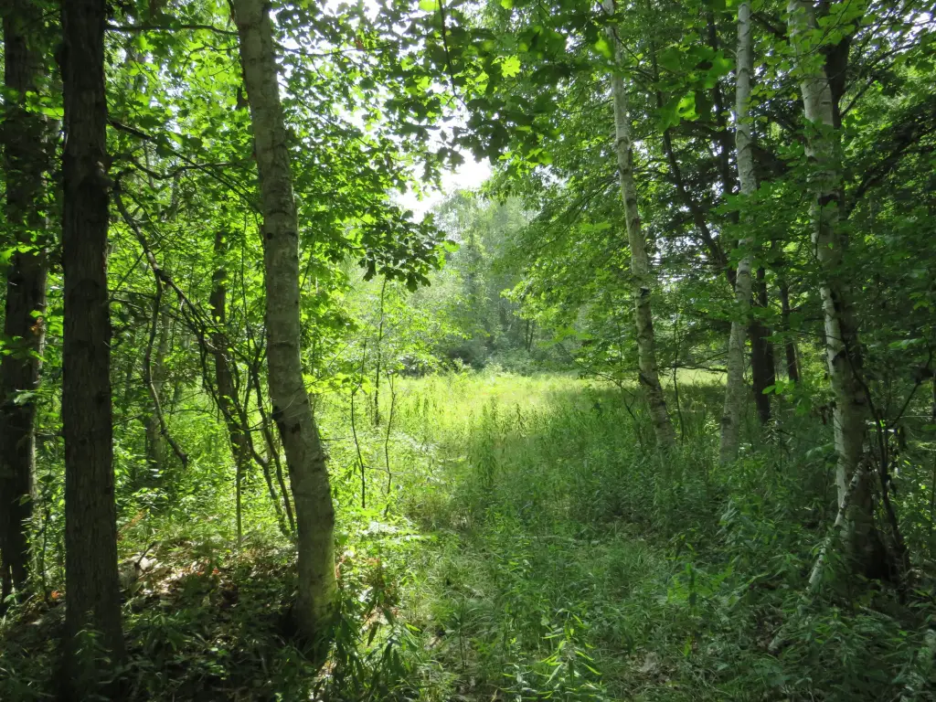 Picture 9