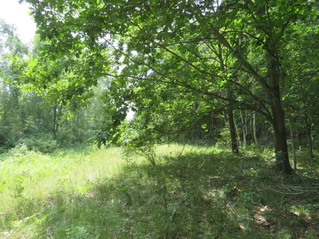 Picture 10