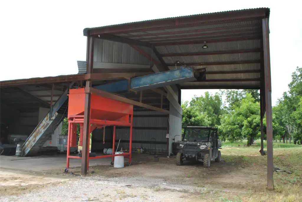 Picture 24