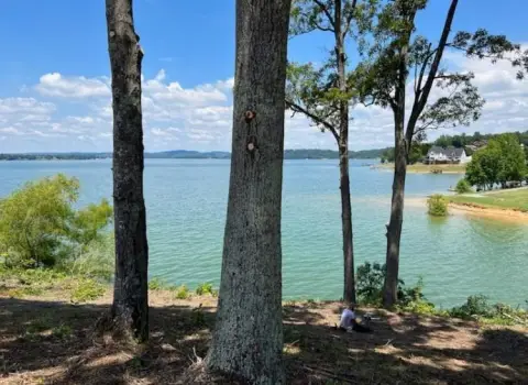 Lakefront Living in Baneberry, TN