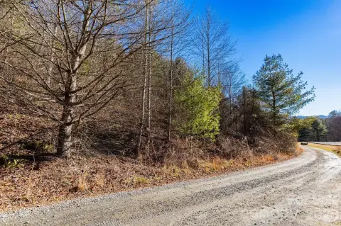 Wooded Land in Mountain Community