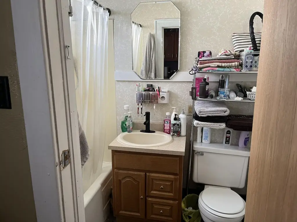 Picture 12