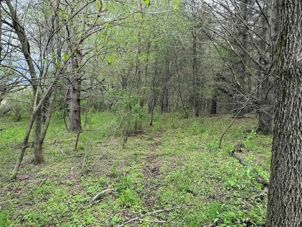 Picture 22