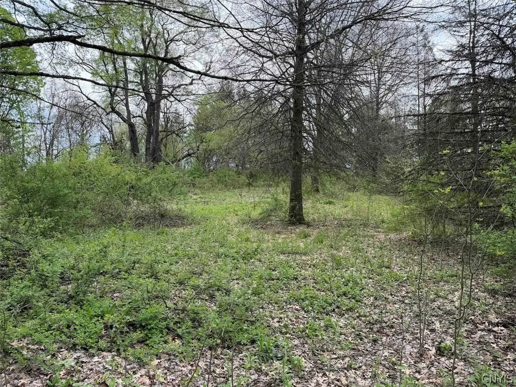Picture 16