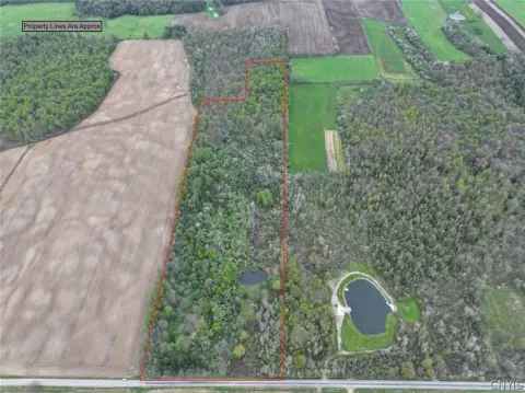 30.1 Acres of Hunting Land