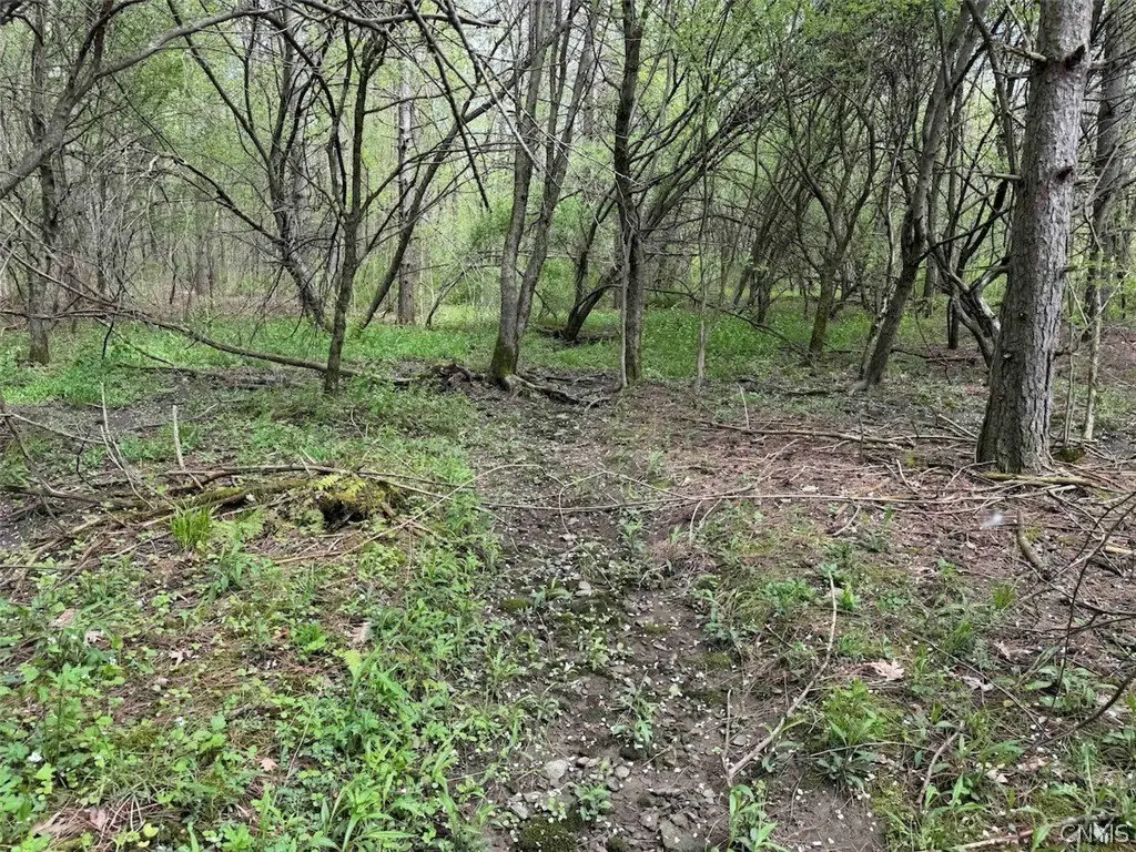 Picture 25