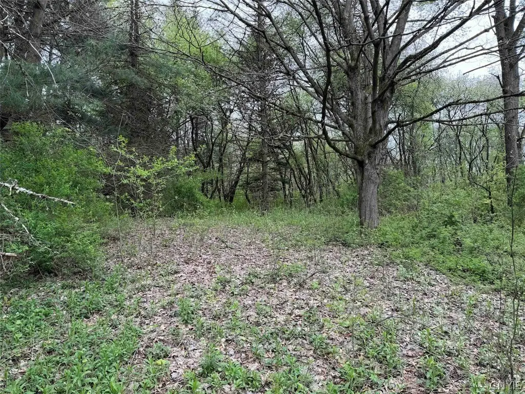 Picture 15