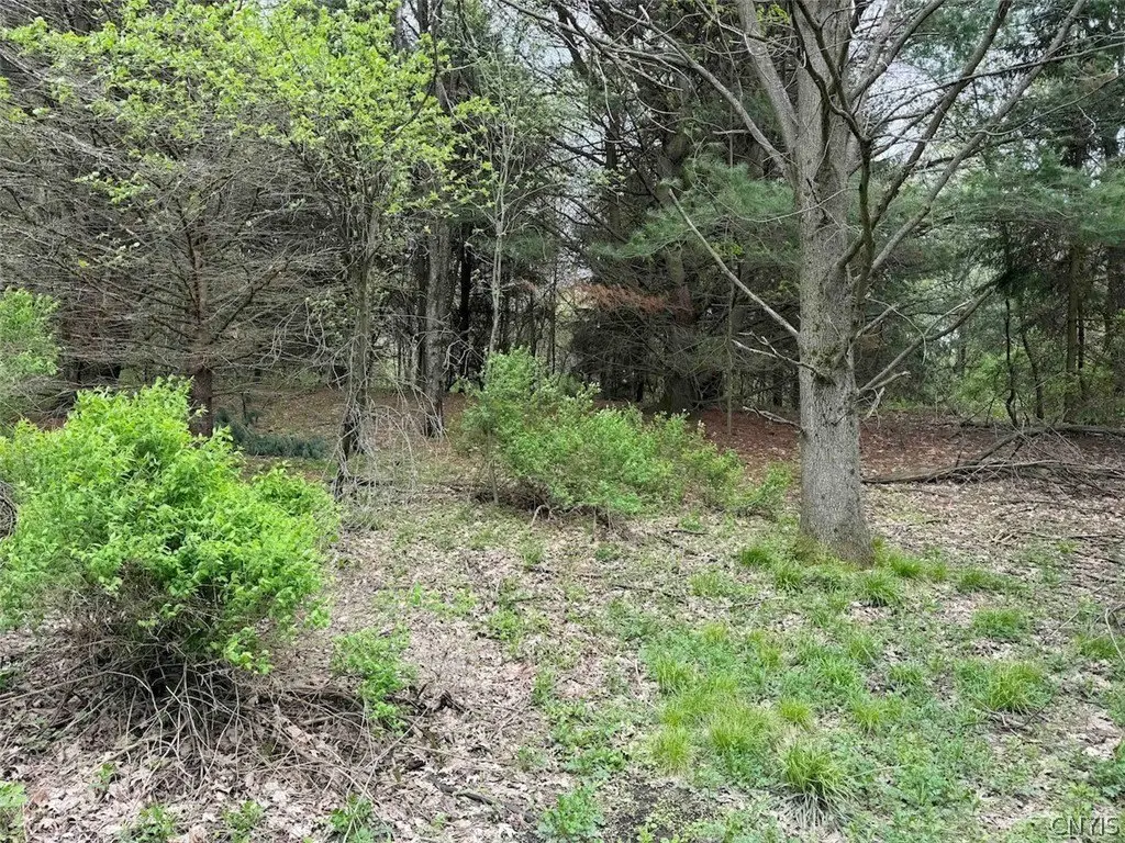 Picture 21