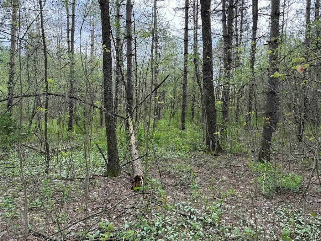 Picture 26
