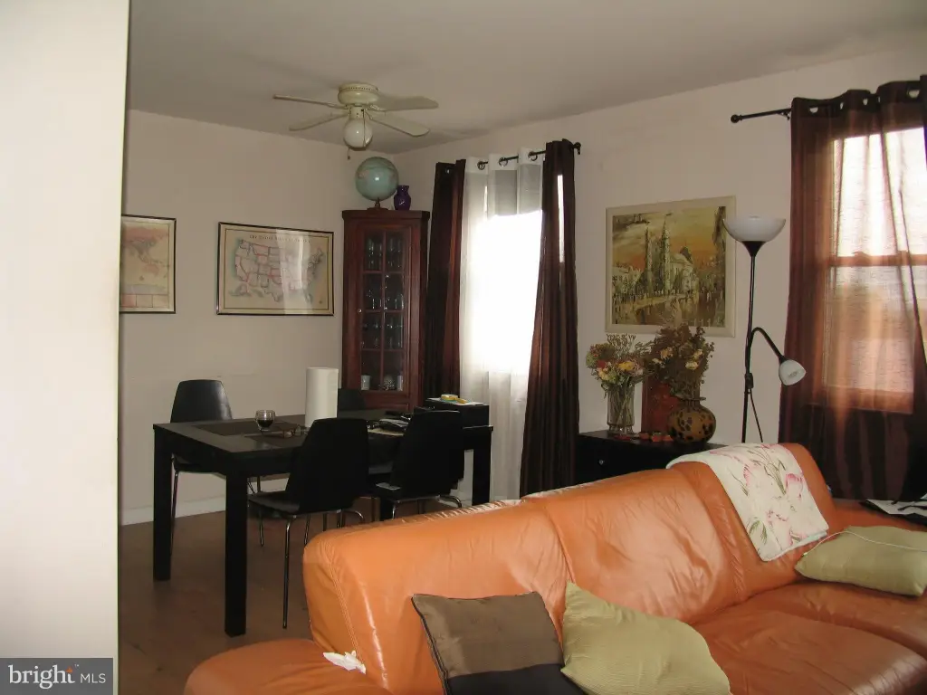 Picture 5