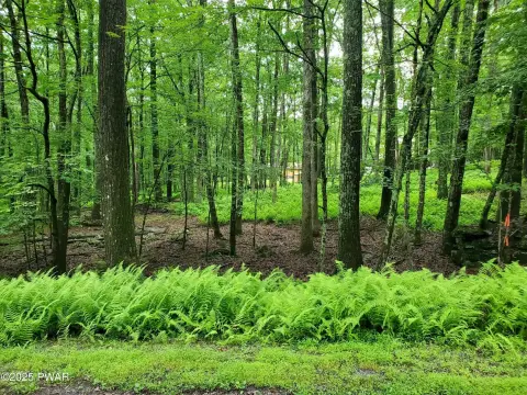 Residential Land in Fawn Lake