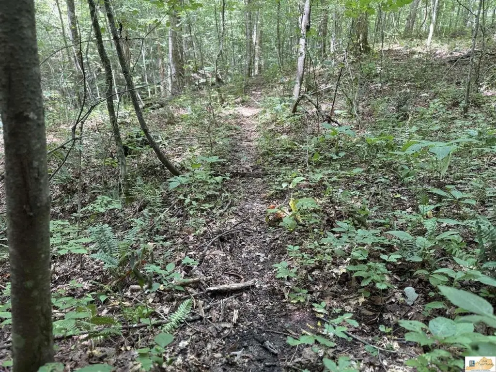 Picture 21
