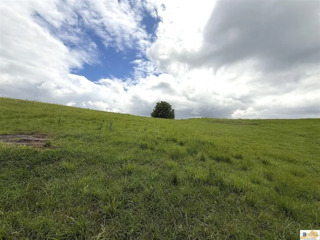 Picture 40