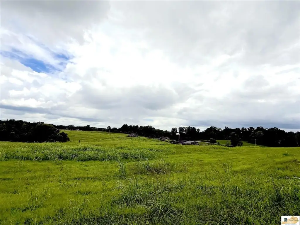 Picture 48
