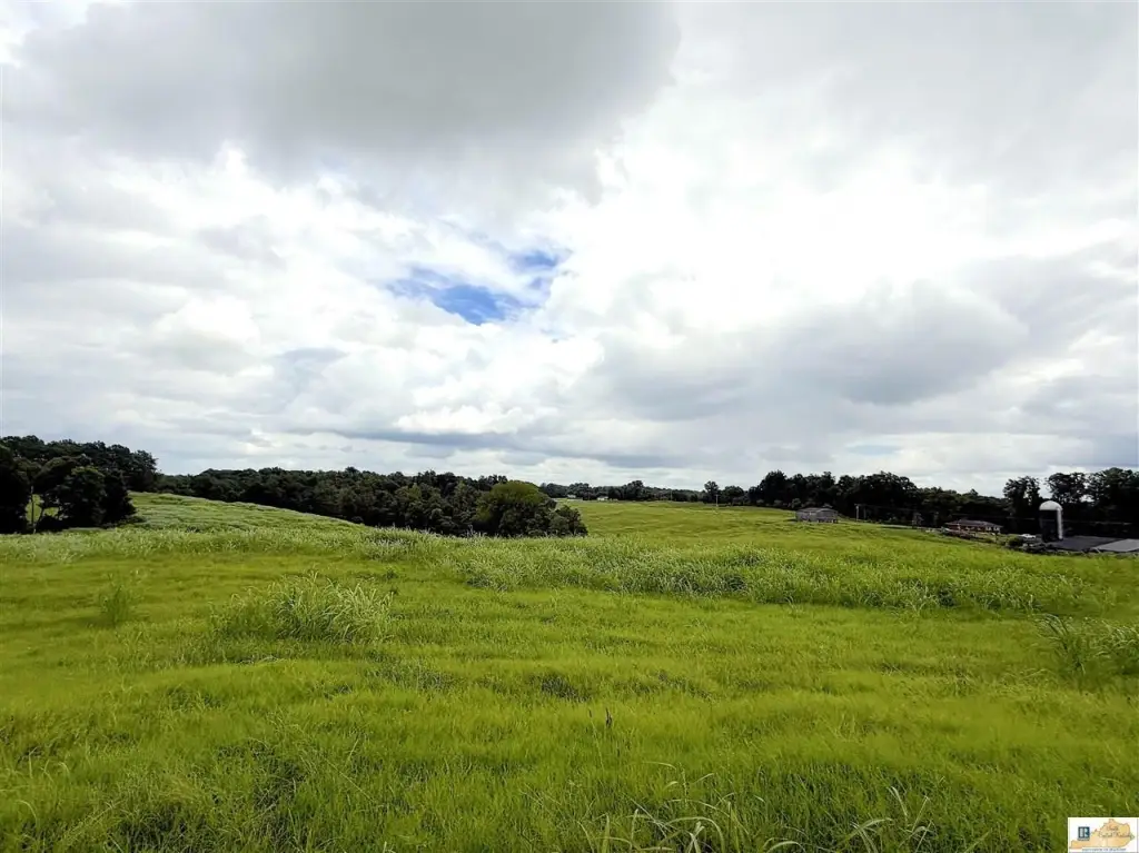 Picture 47