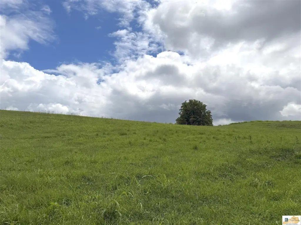 Picture 39