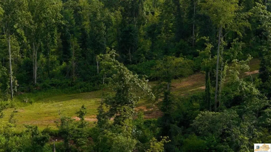 Picture 44