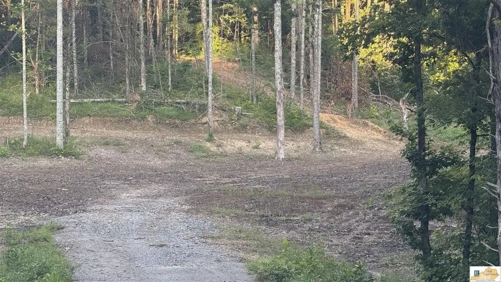 Picture 12