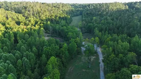 Hunting Land with Food Plots