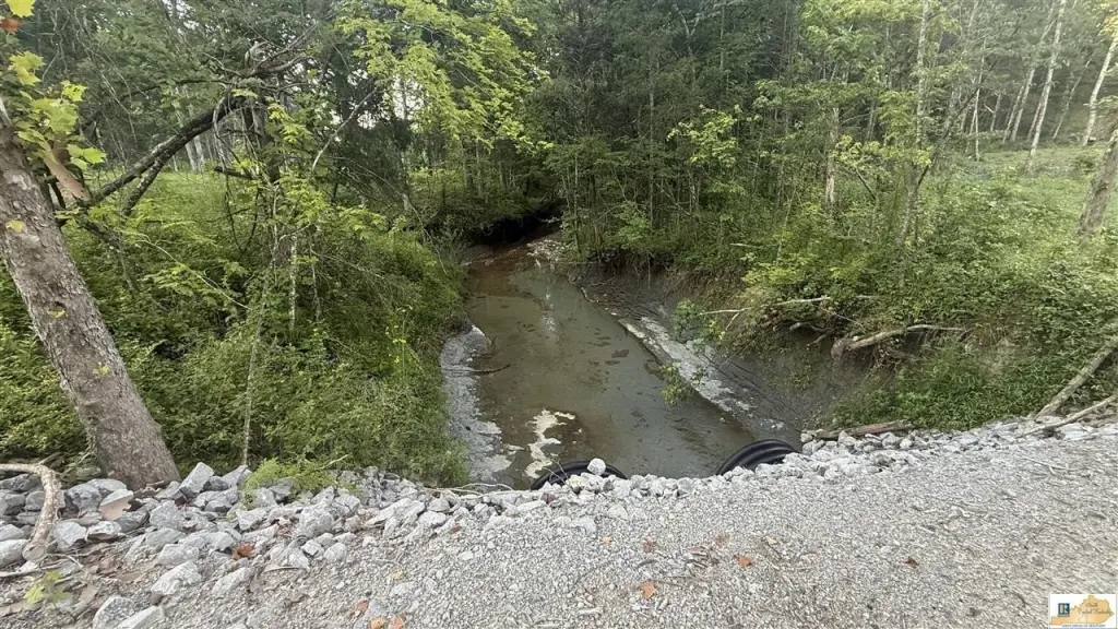 Picture 13