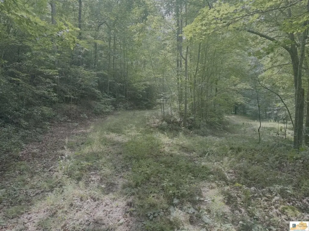 Picture 30