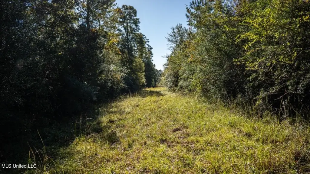 Picture 31