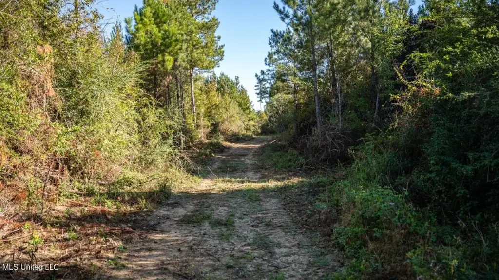 Picture 29