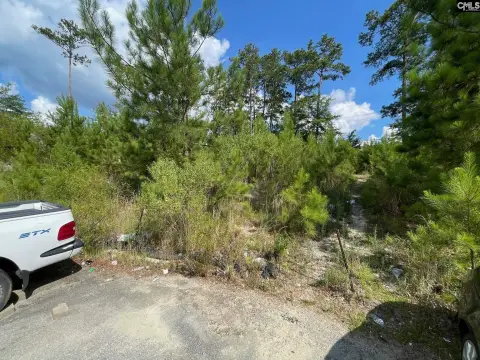 Residential Lot in Columbia, SC