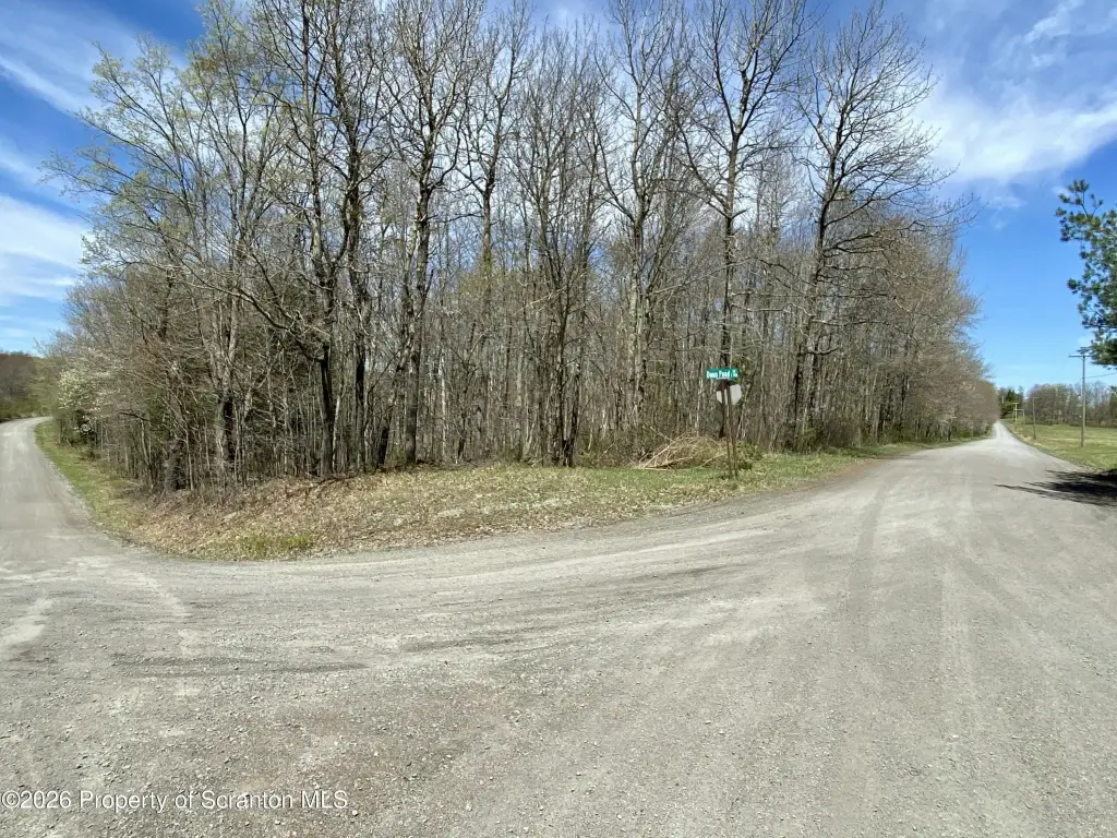 Picture 11