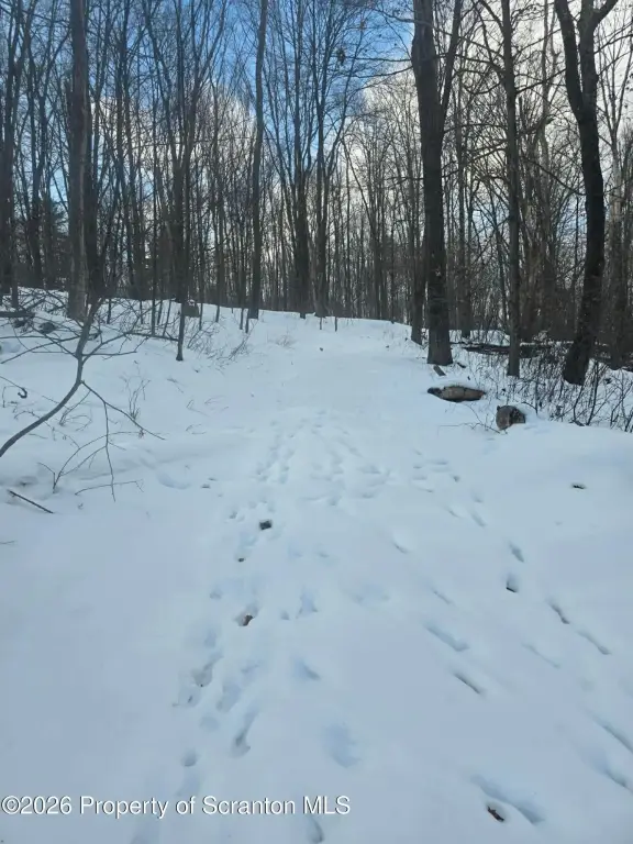 Picture 10