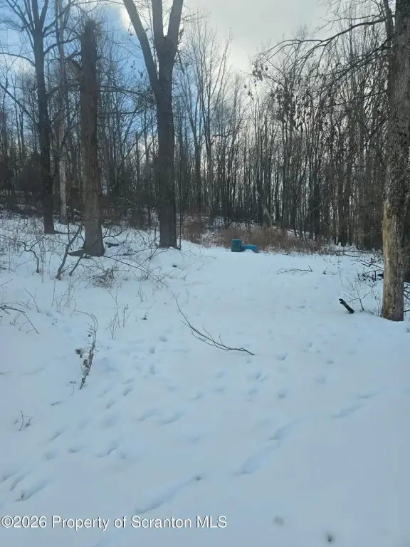 Picture 15