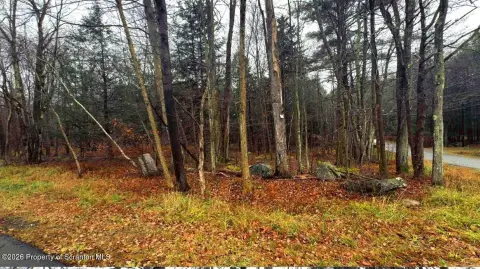 Wooded Residential Parcel in Gouldsboro