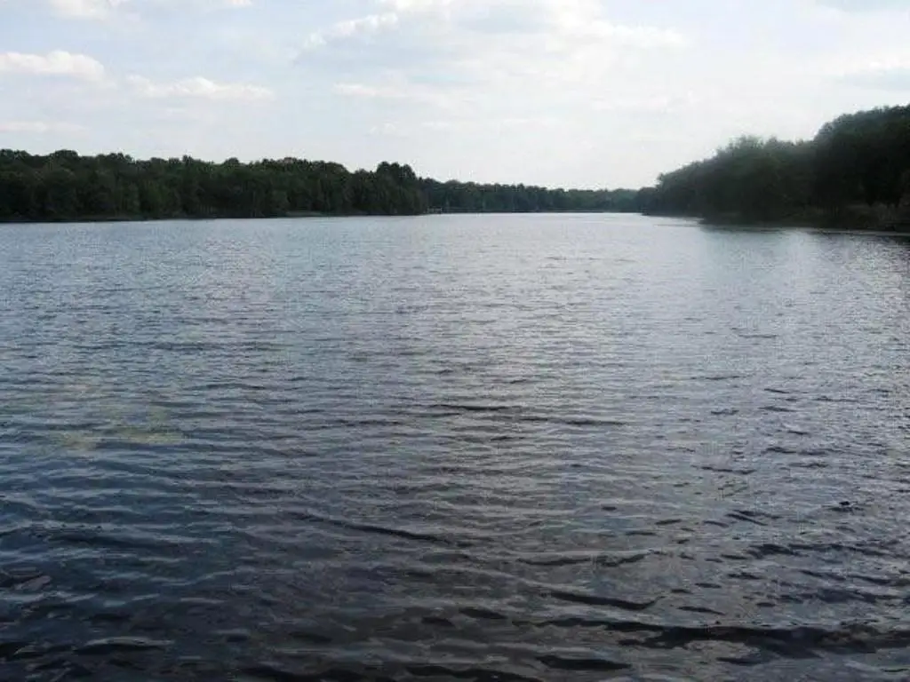Picture 12