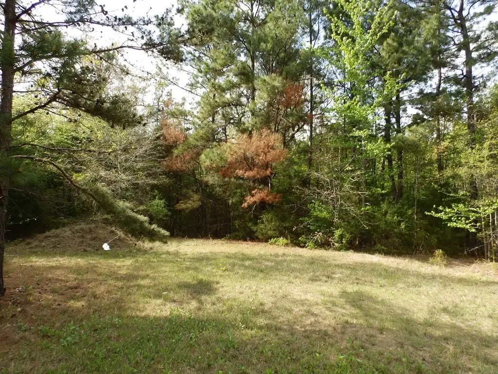 Picture 21