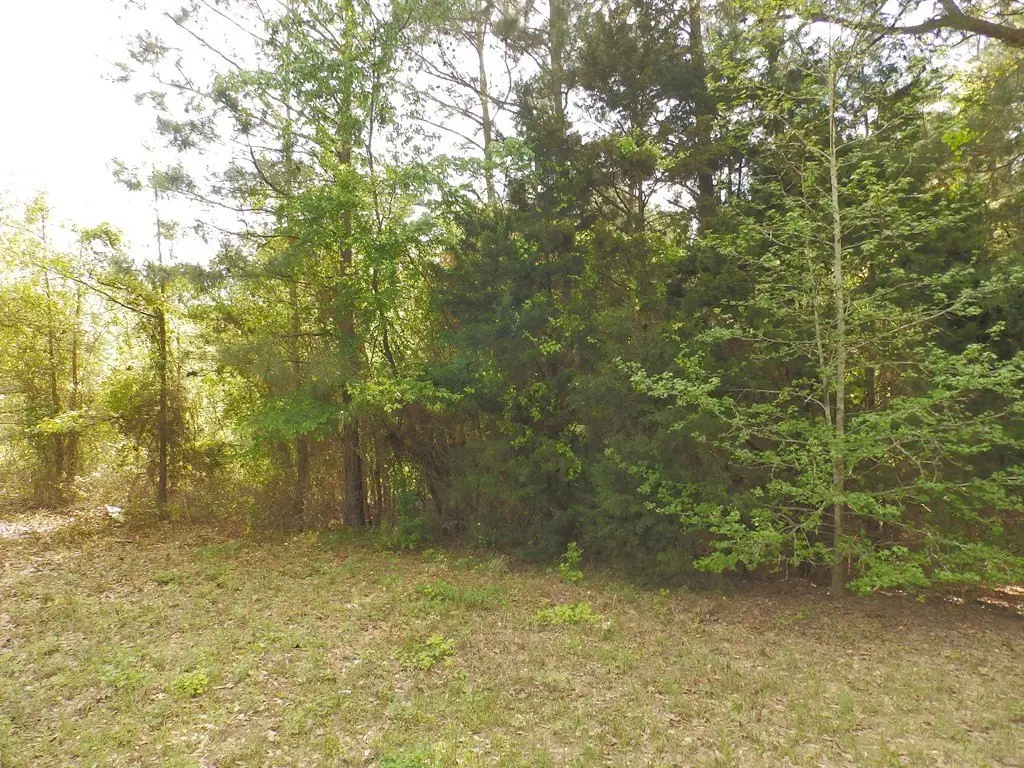 Picture 30
