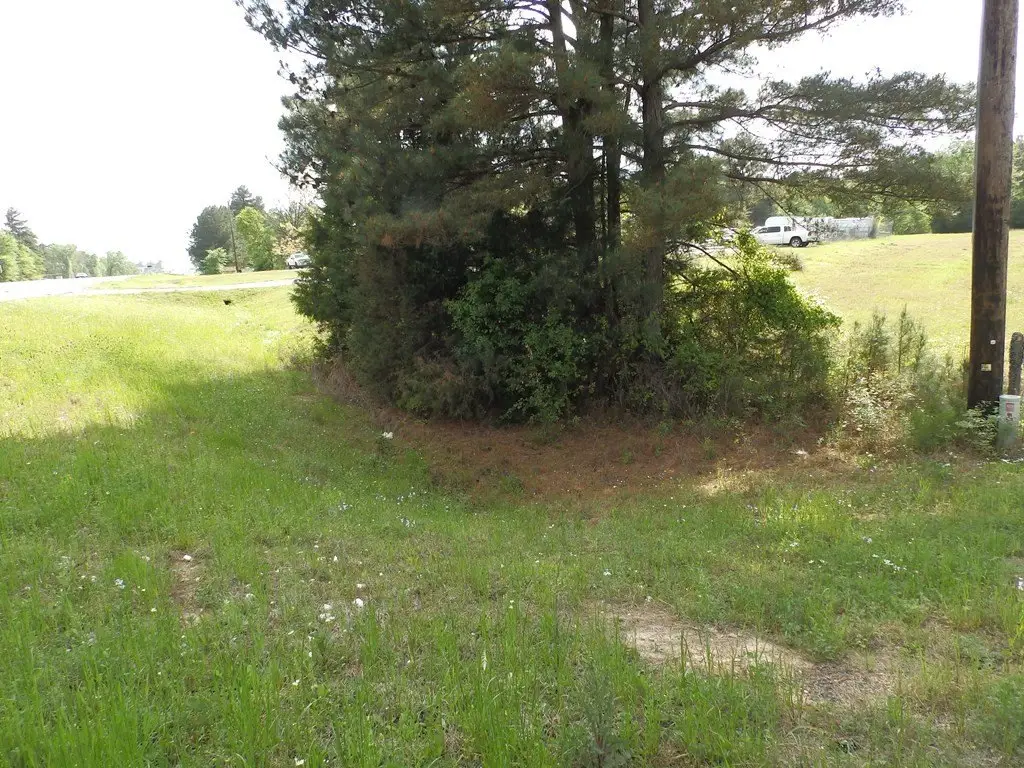 Picture 32