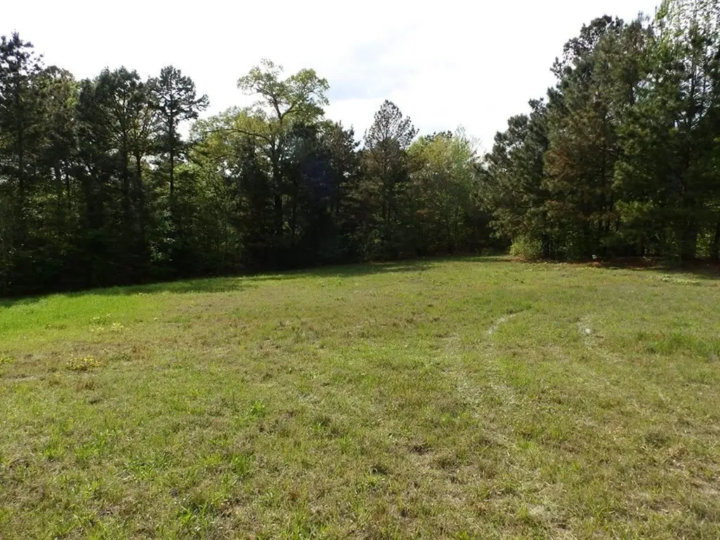 Picture 11