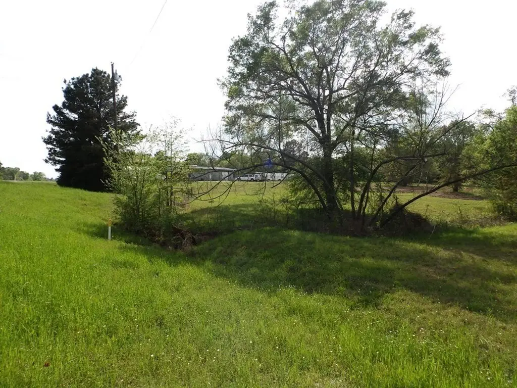Picture 15
