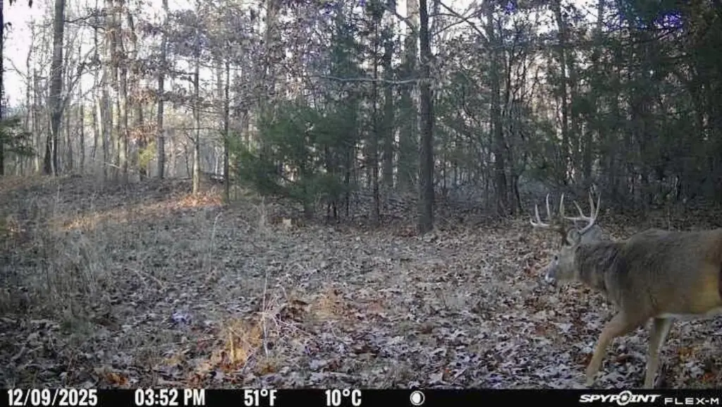 Picture 30