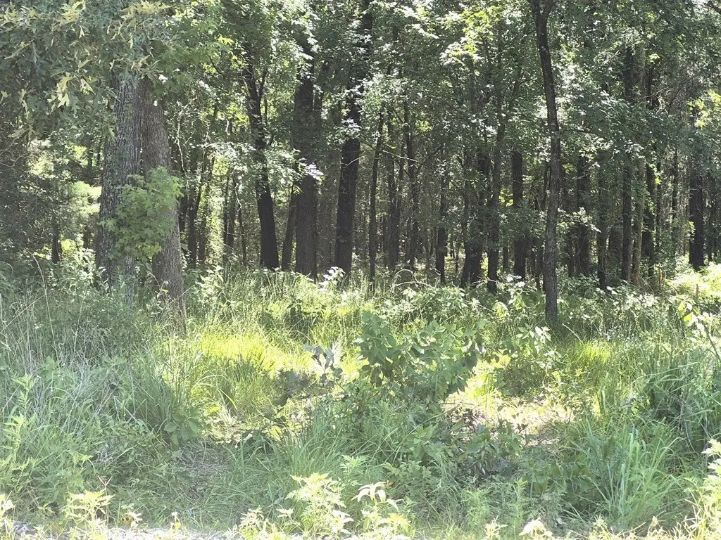 Picture 4