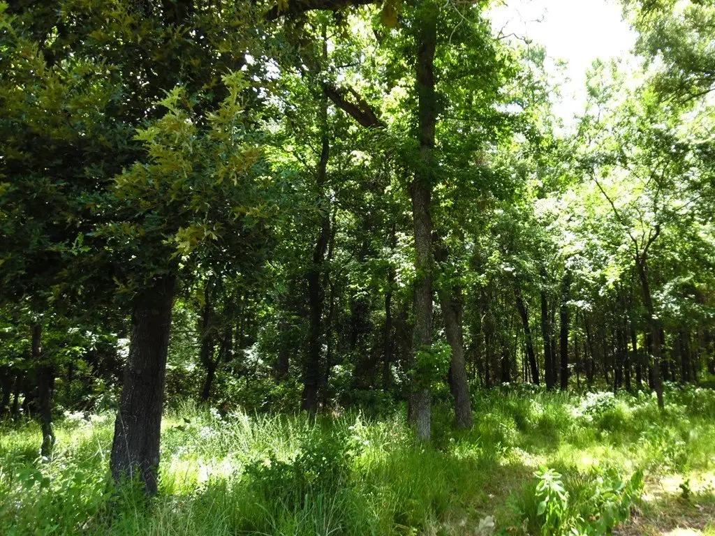 Picture 16