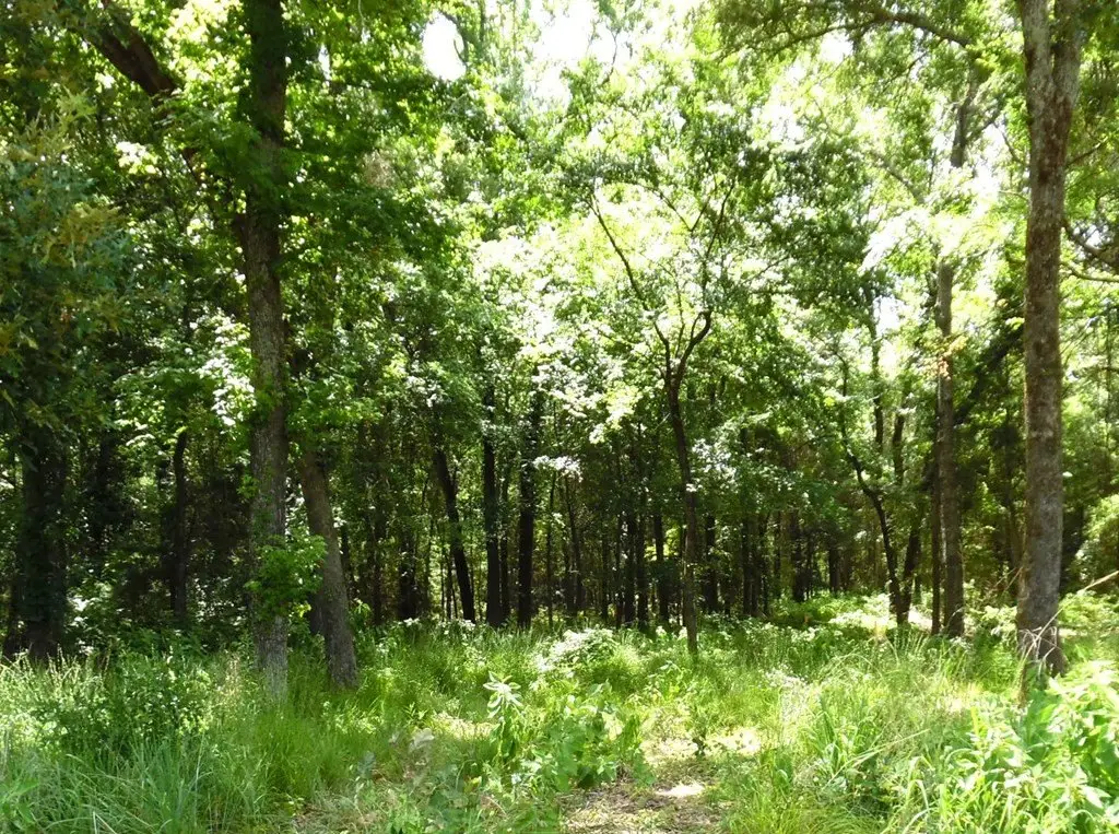 Picture 9