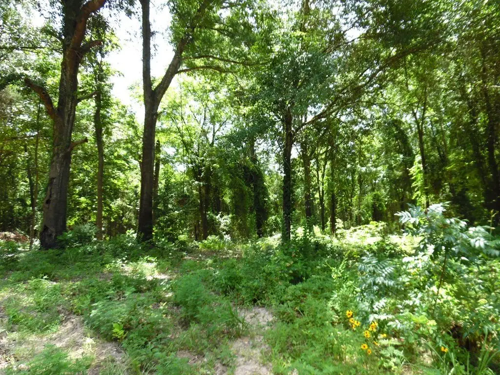 Picture 8