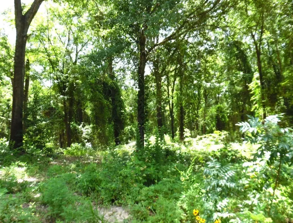 Picture 7