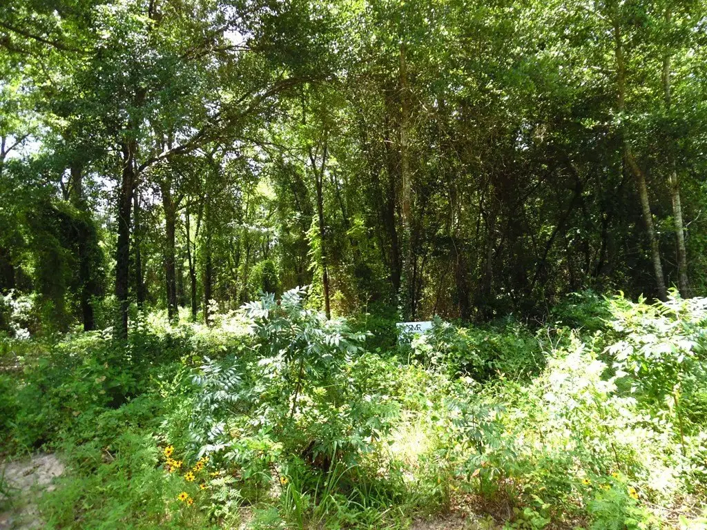 Picture 11
