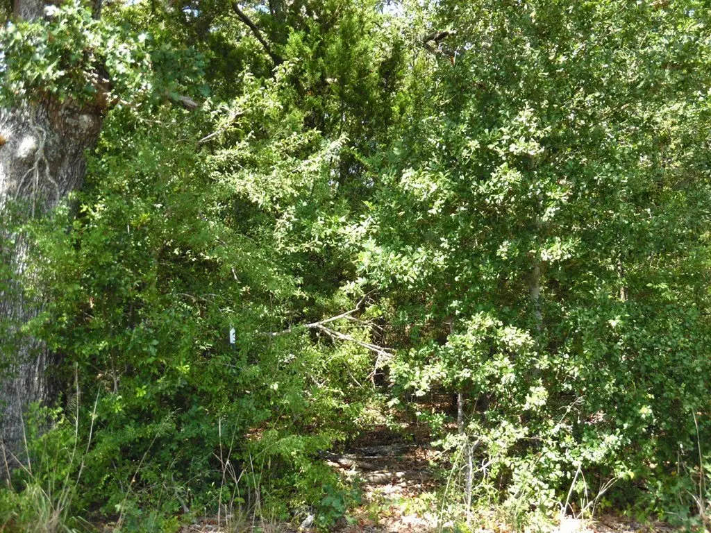 Picture 9
